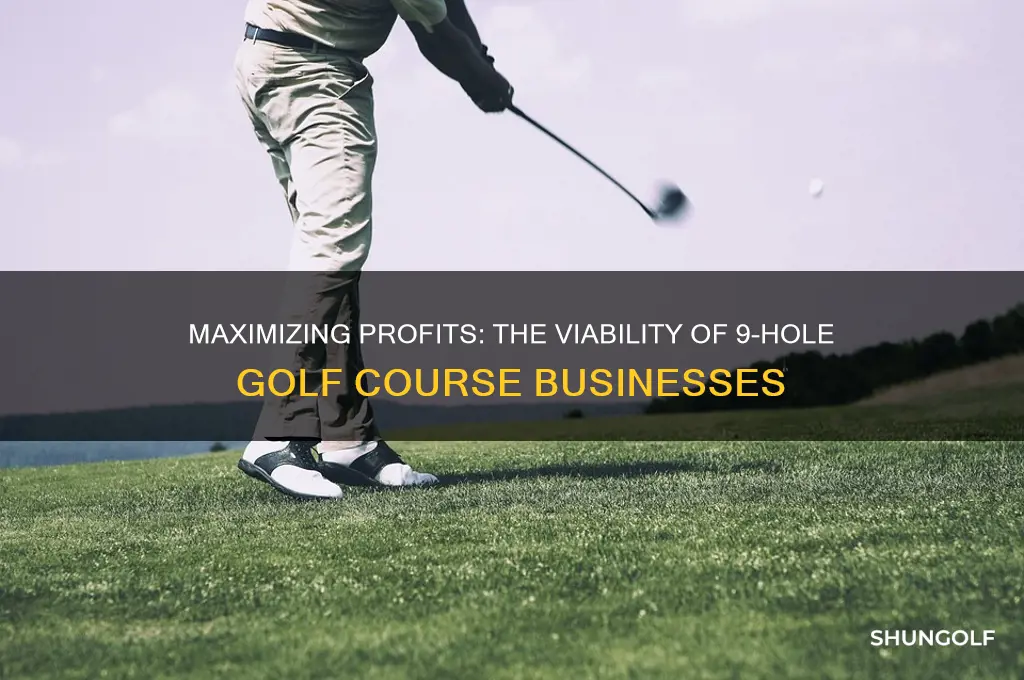 can a 9 hole golf course be profitable