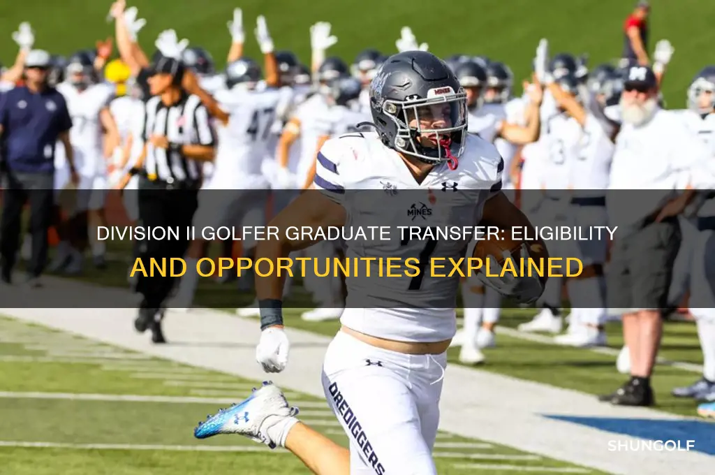 can a division ii golfer play as a graduate transfer