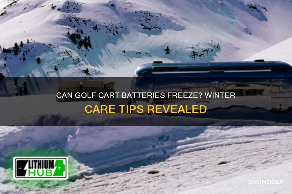 can a golf cart battery freeze