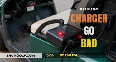 Can Your Golf Cart Charger Fail? Signs and Solutions