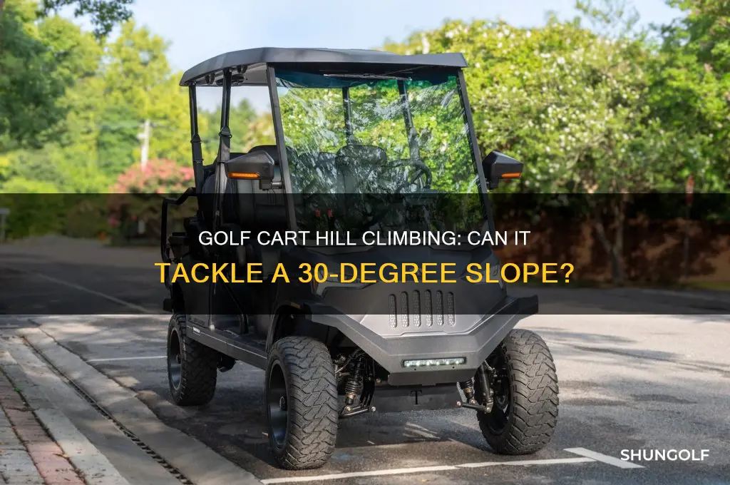 can a golf cart go up a 30 degree hill