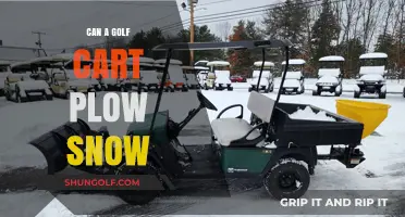 Golf Cart Snow Plow: Innovative Winter Solution or Impractical Idea?