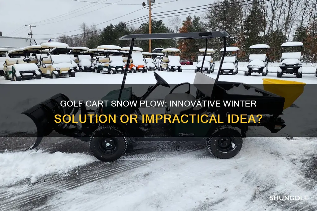 can a golf cart plow snow