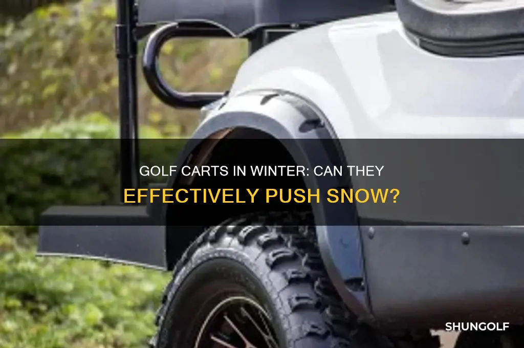 can a golf cart push snow