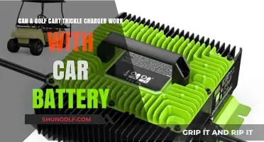Golf Cart Trickle Charger Compatibility: Can It Charge Car Batteries?