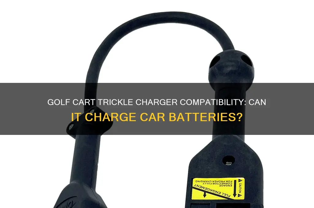 can a golf cart trickle charger work with car battery