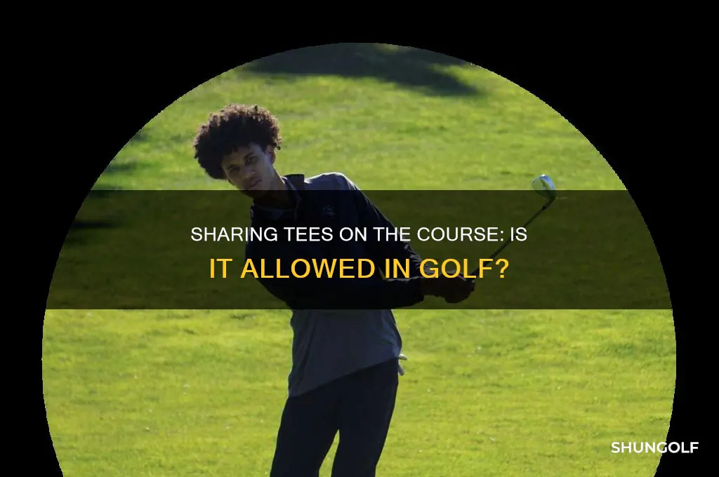 can a golfer use a tee from another player