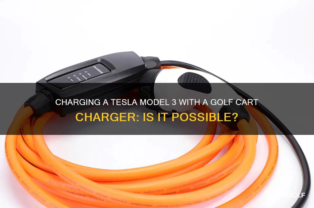 can a model 3 charge from a golf cart charger