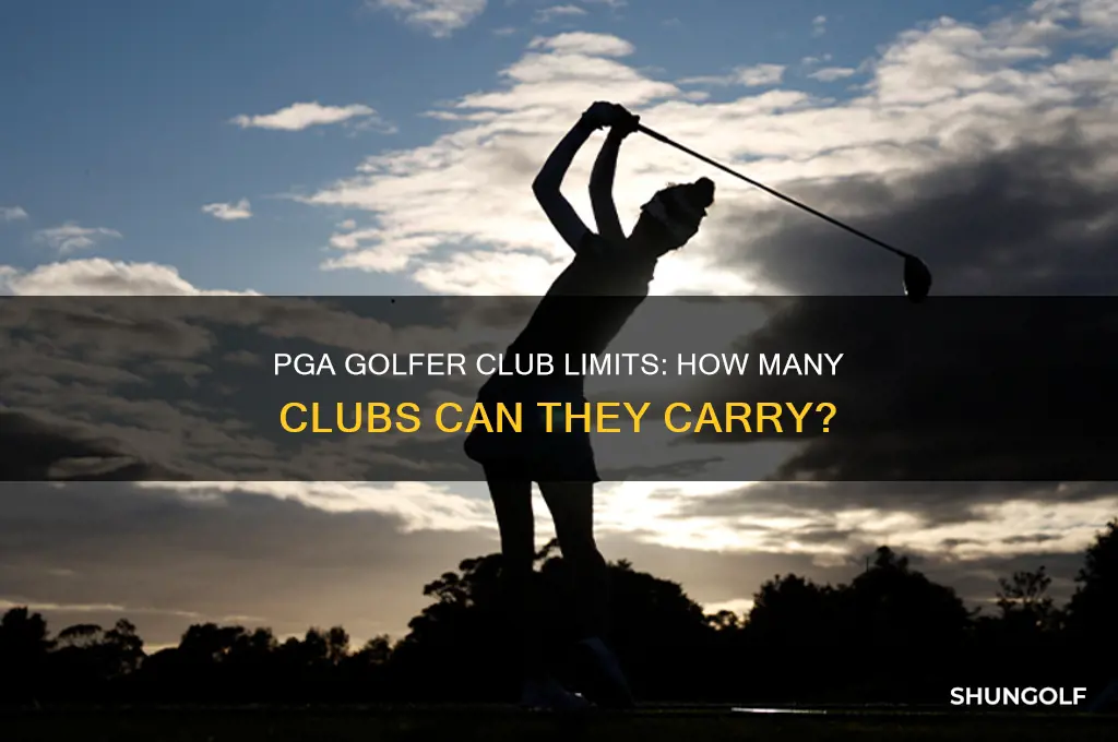 can a pga golfer carry as many clubs as nessesary
