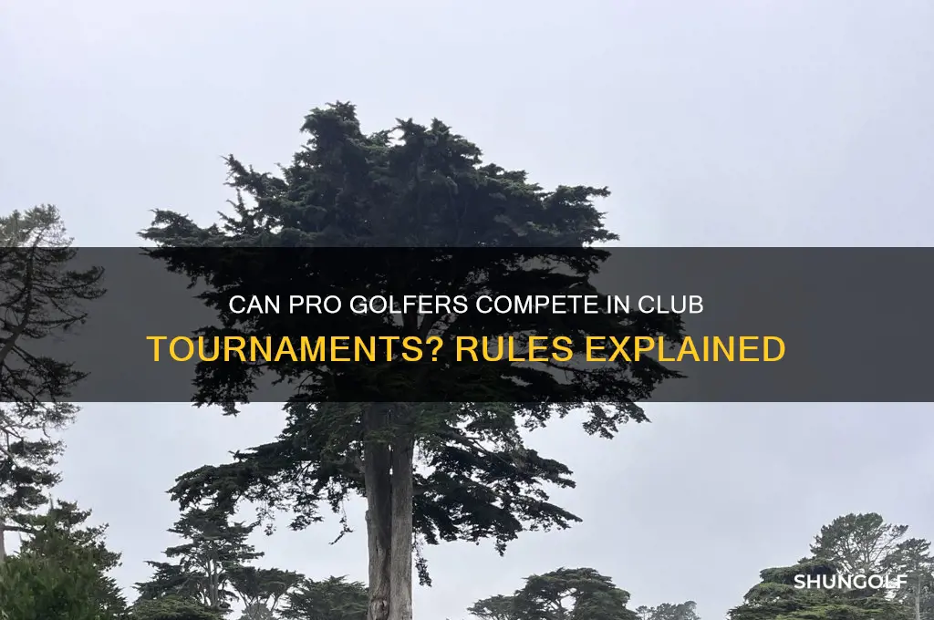 can a professional golfer play in a club competition