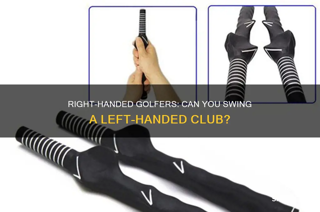 can a right handed golfer carry a left handed club