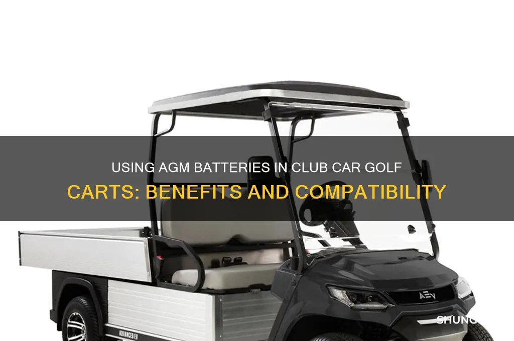 can agm be used in club car golf cart