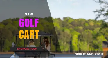 Can-Am Golf Cart: Revolutionizing Your Course Experience with Power and Style