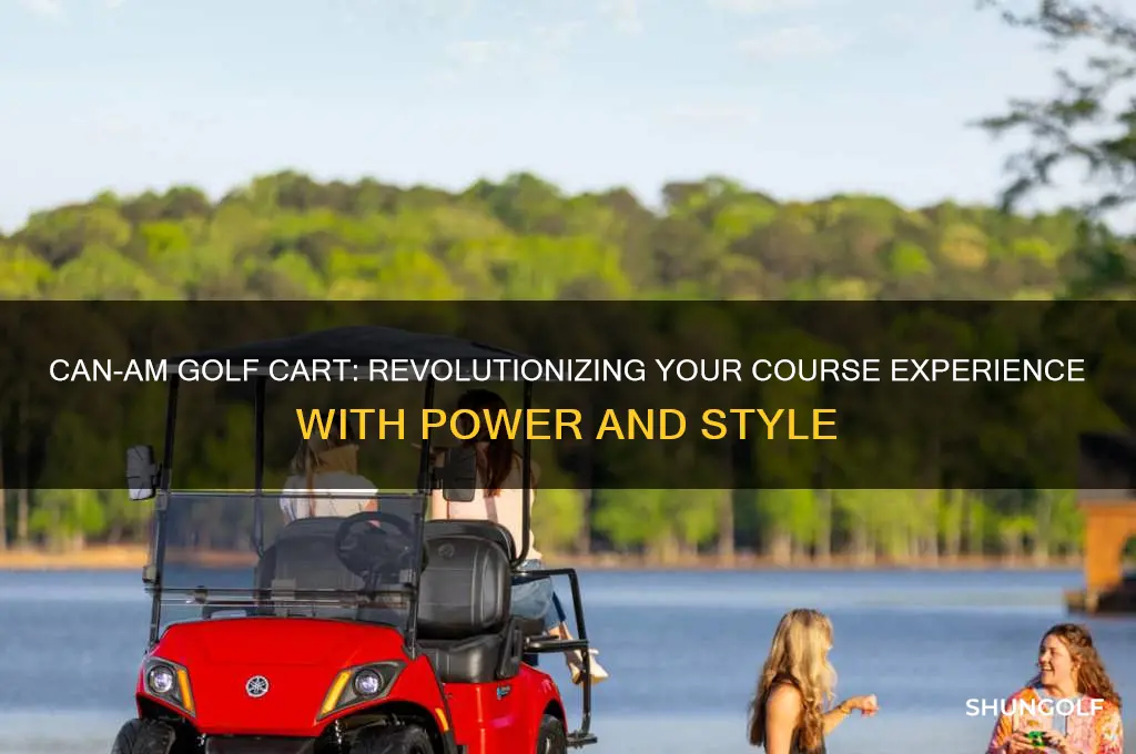 can am golf cart