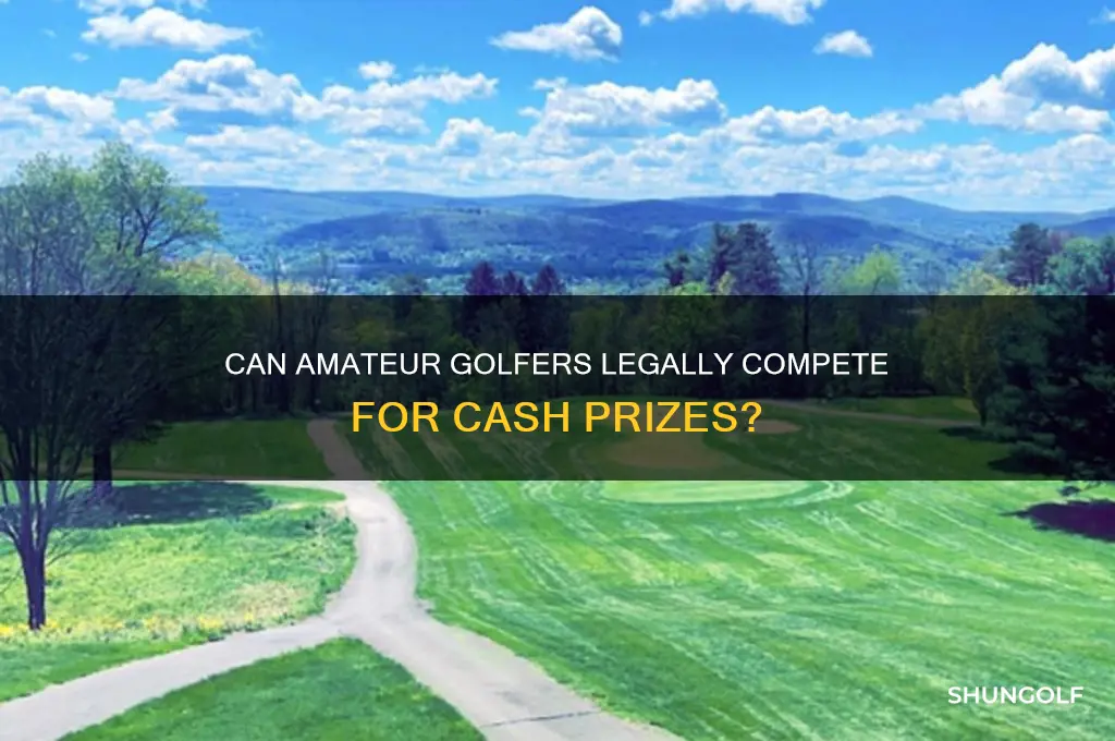 can an amerature golfer play for money