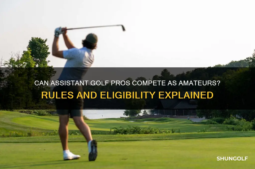 can an assistant golf pro play as an amateur