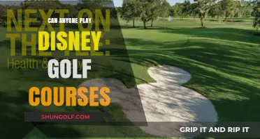 Exploring Disney Golf Courses: Accessibility and Playing Opportunities for All