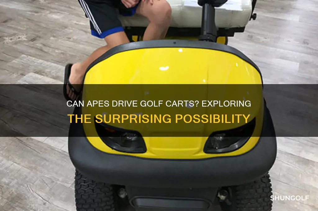 can apes drive golf carts