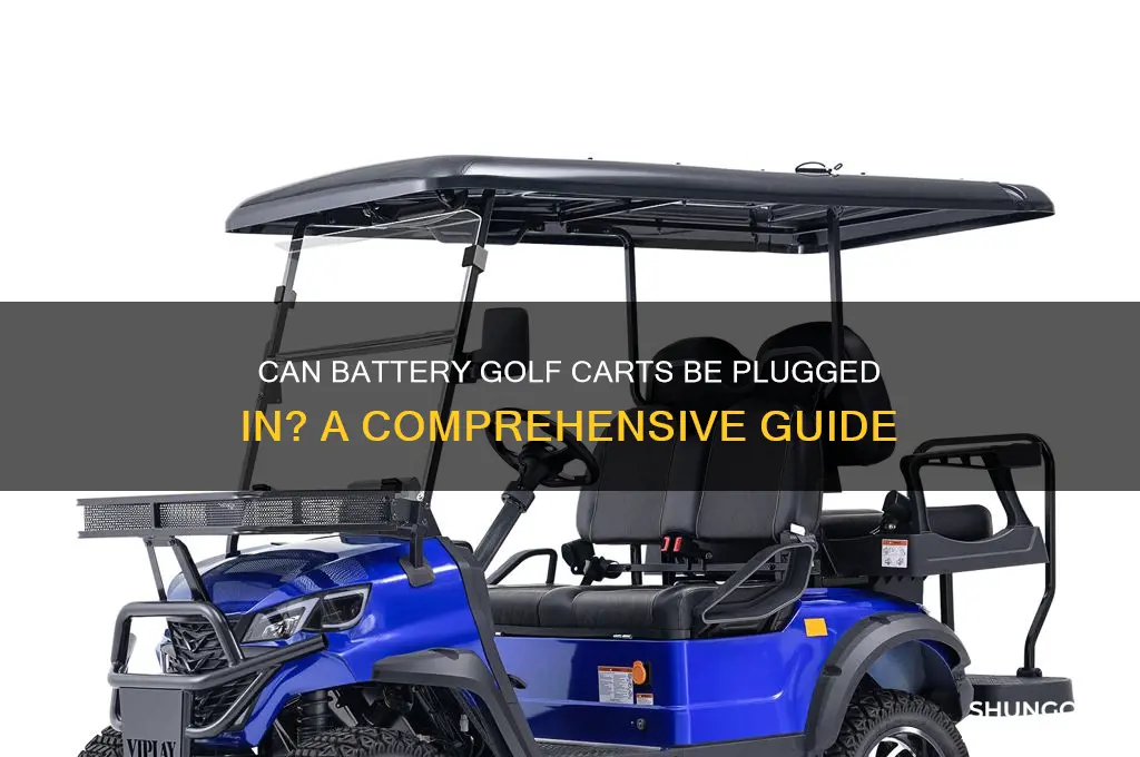 can battery golf carts be plugged in