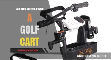 Can BLDC Motors Efficiently Power a Golf Cart?