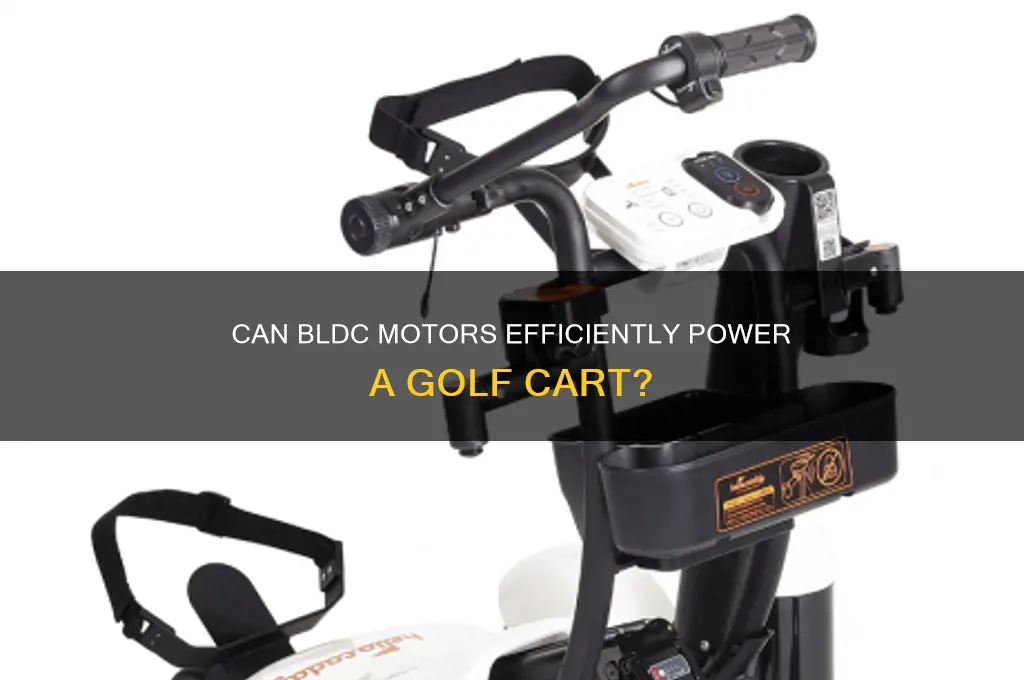 can bldc motors power a golf cart