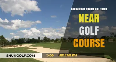 Chemical Runoff from Golf Courses: A Silent Killer of Nearby Trees?