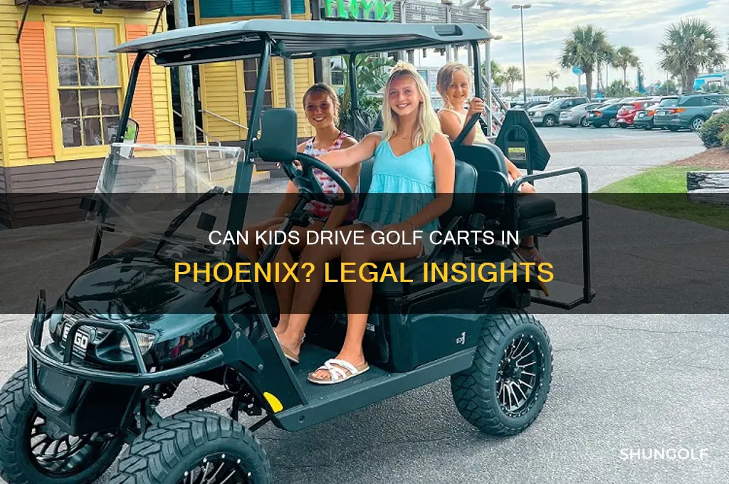 can children drive golf carts in phoenix