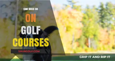 Can Dogs Join You on the Golf Course? Rules and Tips