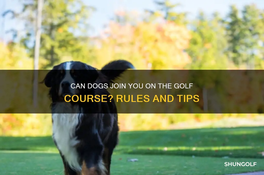 can dogs go on golf courses
