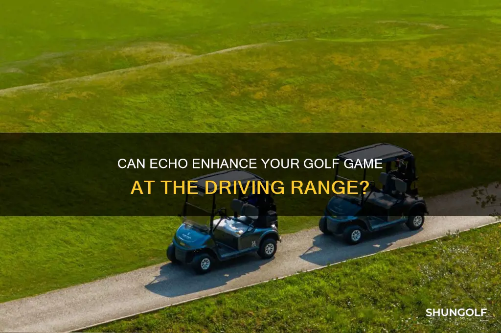 can echo play a golf station