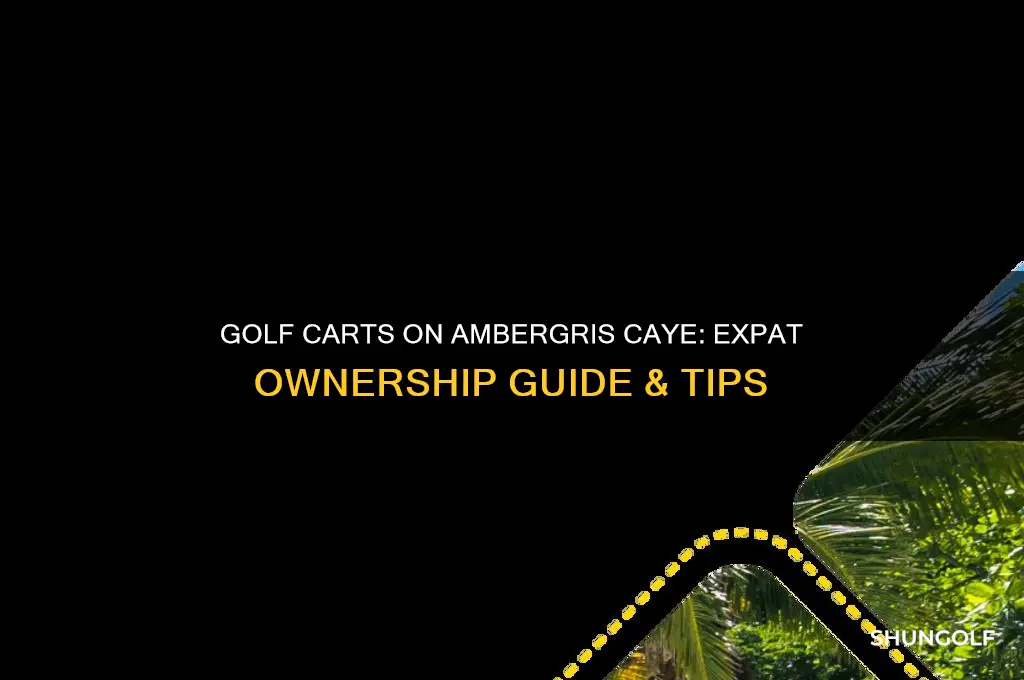 can expats get a golf cart on ambergris caye