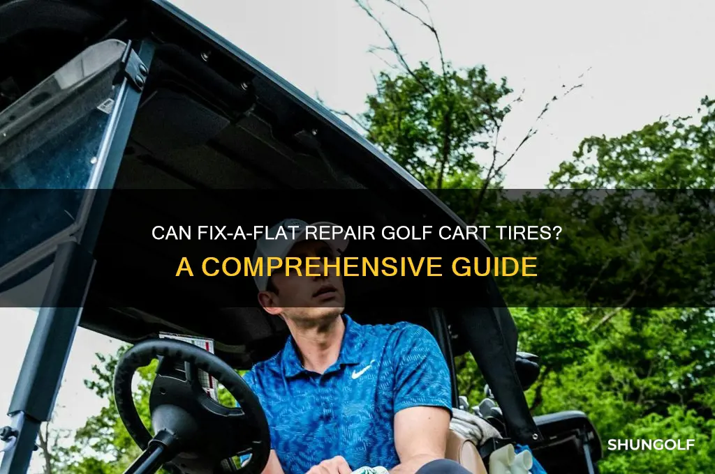 can fix a flat repair golf cart tires