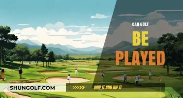 Exploring the Accessibility and Playability of Golf for All Skill Levels