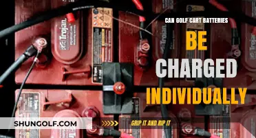 Charging Golf Cart Batteries Individually: Is It Possible and Safe?