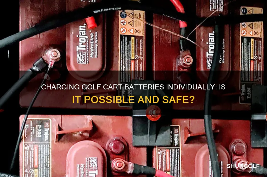 can golf cart batteries be charged individually