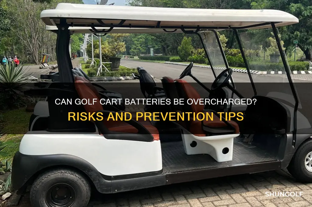 can golf cart batteries be overcharged