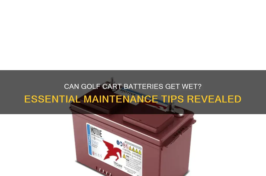can golf cart batteries get wet