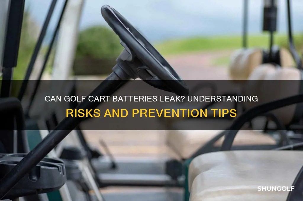 can golf cart batteries leak