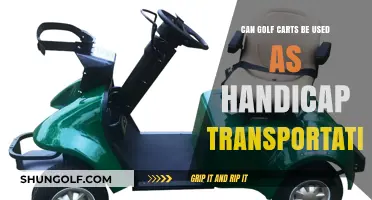 Golf Carts as Handicap Transportation: Accessibility and Practical Solutions
