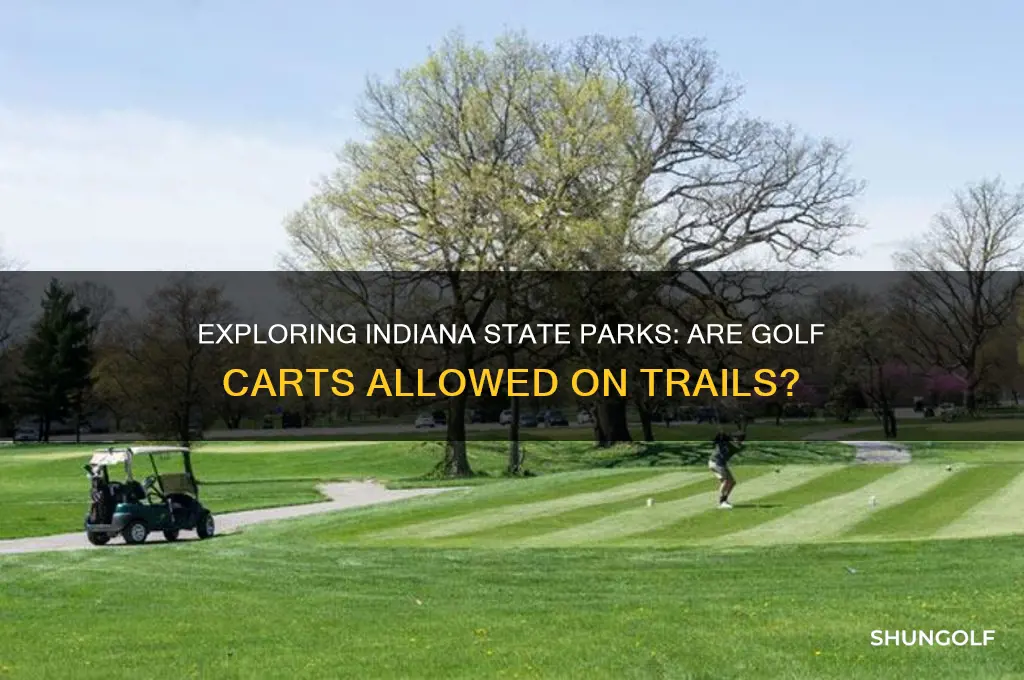can golf carts be used in indiana state parks