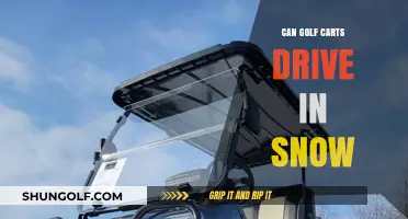 Can Golf Carts Handle Snow? Winter Driving Tips and Safety