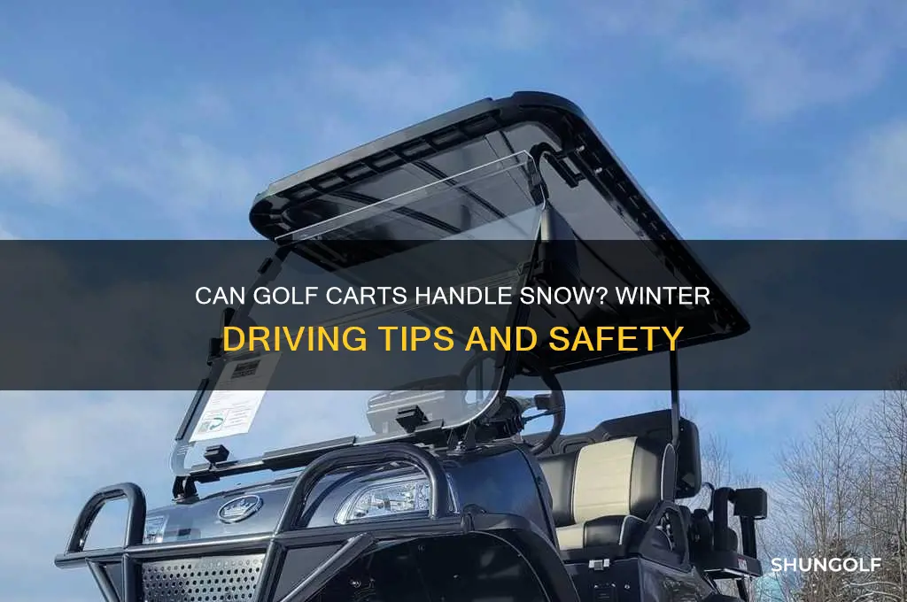 can golf carts drive in snow