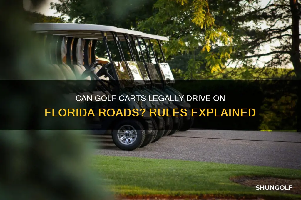 can golf carts drive on florida roads