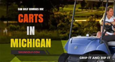 Michigan Golf Cart Rules: Can Courses Allow Cart Usage?