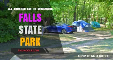 Exploring Tahquamenon Falls State Park: Golf Cart Accessibility Guide