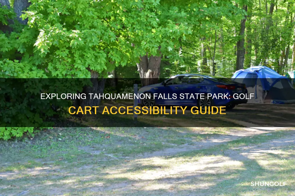 can i bring golf cart to tahquamanon falls state park