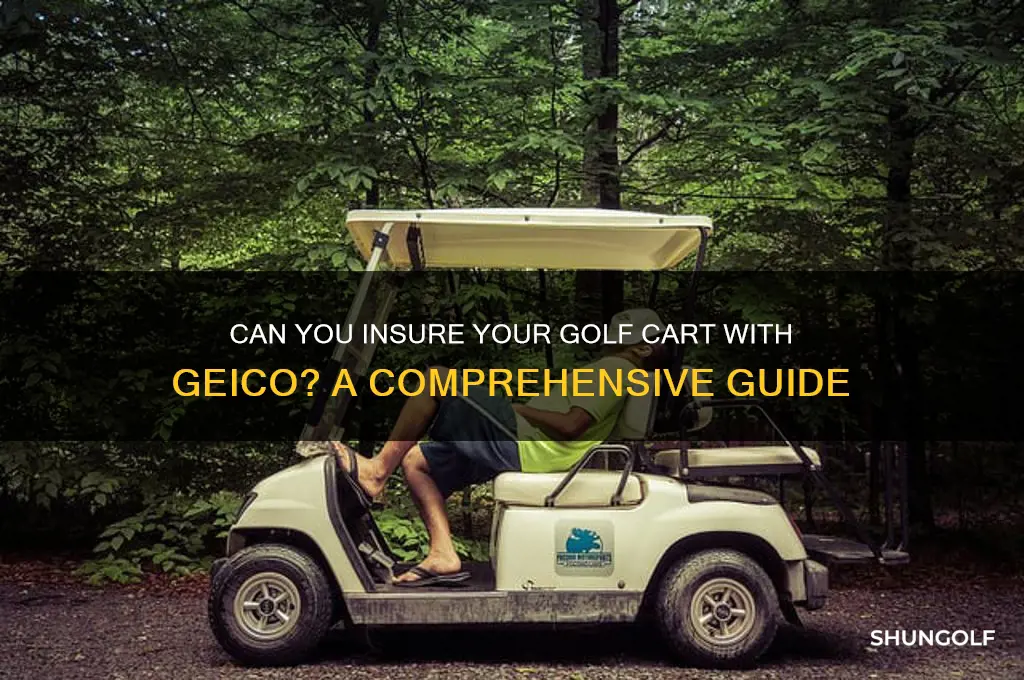can i buy insurance my golf cart from geico