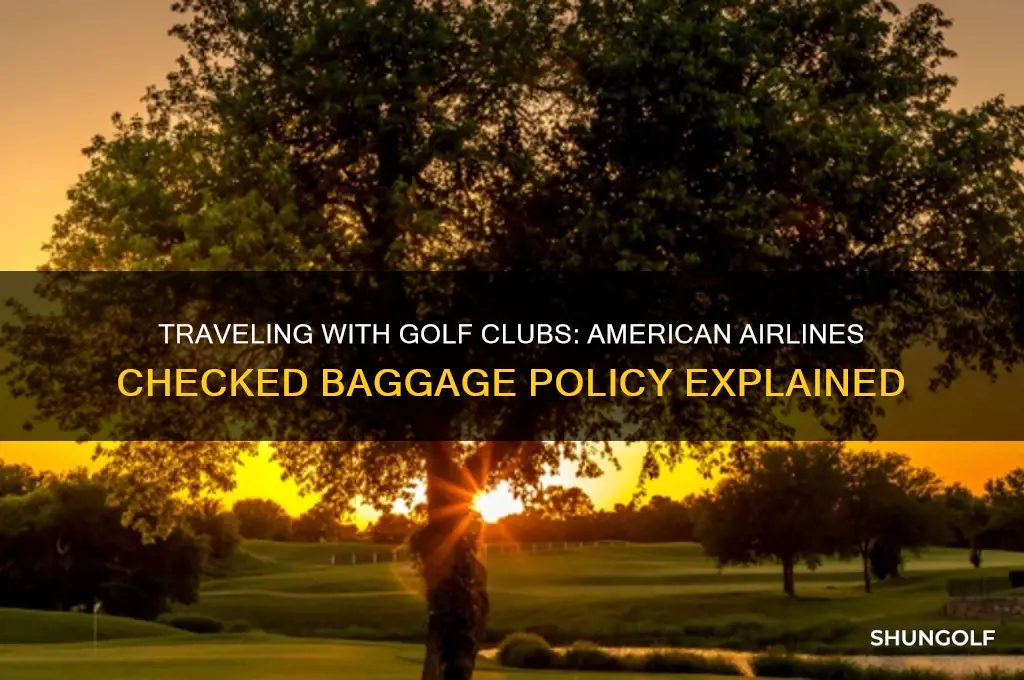 can i check golf clubs on american airlines