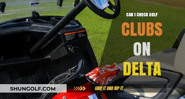 Delta Golf Club Policy: Can You Check Your Clubs?