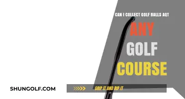 Can You Collect Golf Balls at Any Golf Course? Rules Explained